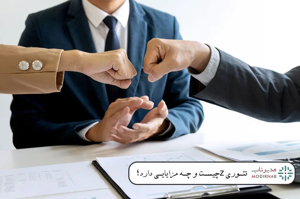 تئوری زد- نظریه ژاپنی